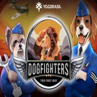 Dog Fighters - Their Finest Hour